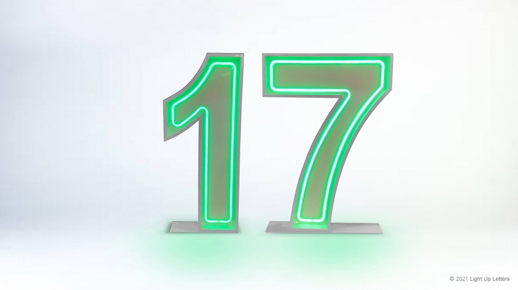 17th Neon Light Up Numbers