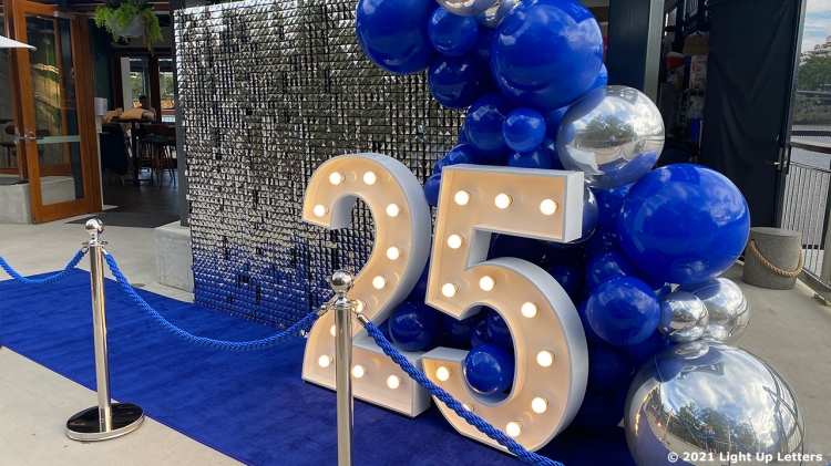 Silver Shimmer Backdrop