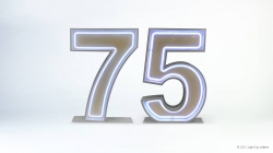 75th Neon Light Up Numbers