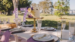 Outdoor event setup with a decorated table featuring a cake on a gold stand. Plates, glasses, and napkins are arranged neatly. Illuminated "17" sign and greenery in the background.