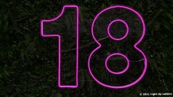 Neon pink number "18" displayed against a dark, leafy background.