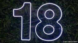 Neon number "18" illuminated against a background of green foliage.